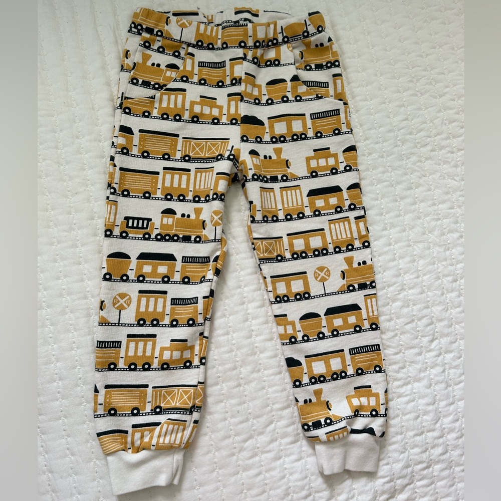 4T Winter Water Factory 100% Organic Cotton Pants